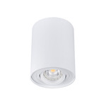 Kanlux 22551 BORD DLP-50-W   Přisazené bodové svítidlo         