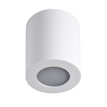 Kanlux 29241 SANI IP44 DSO-W   Přisazené svítidlo